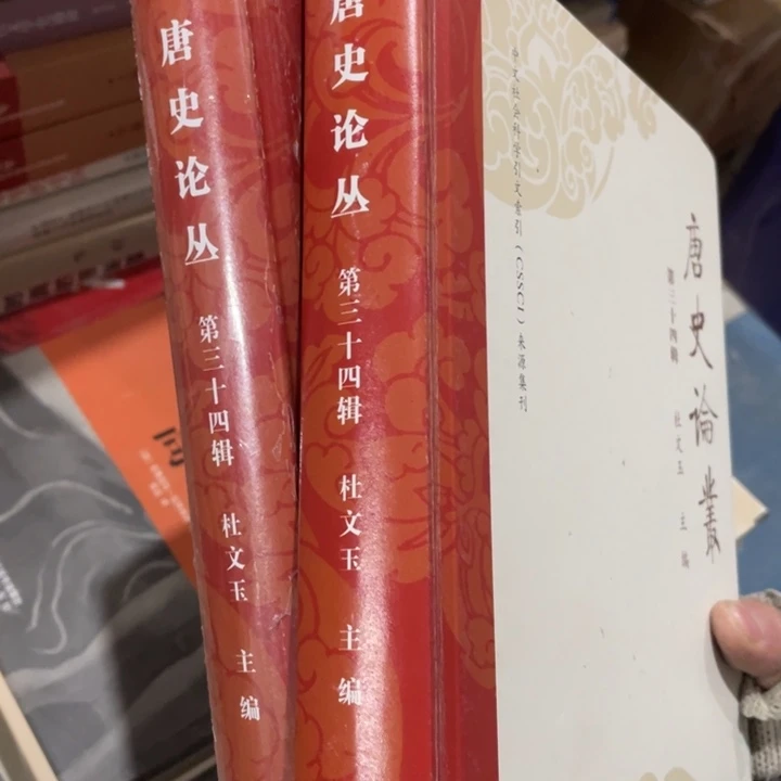 唐史论从第34辑精装