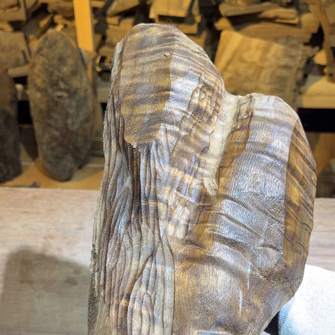 金丝楠金丝楠原材料