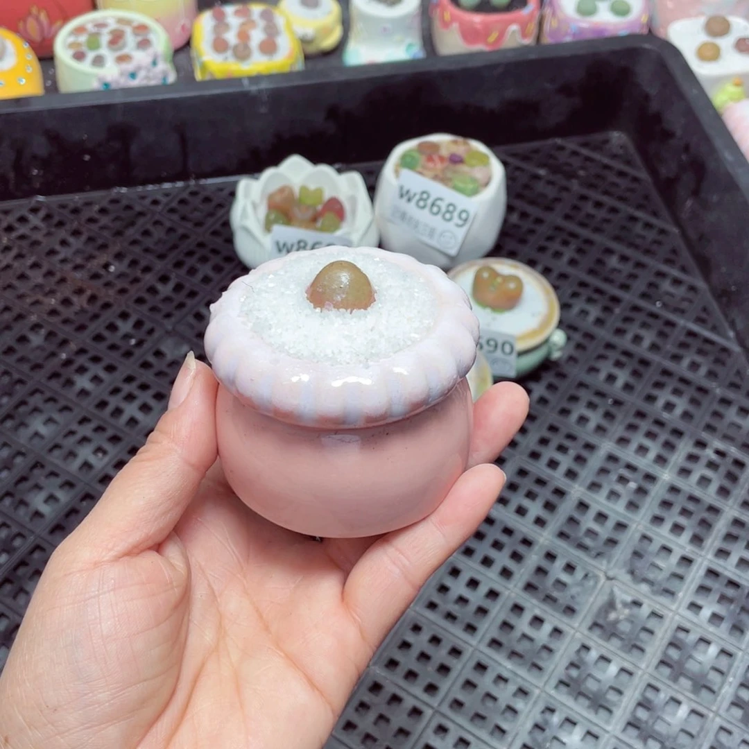 w8692 零下地区拍保温箱-15支持寄养