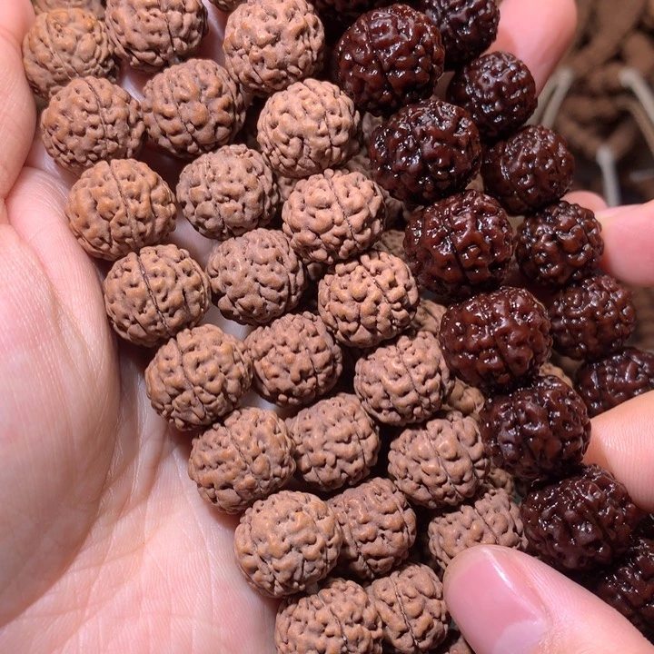 金刚菩提手串跳跳龙尺寸14
