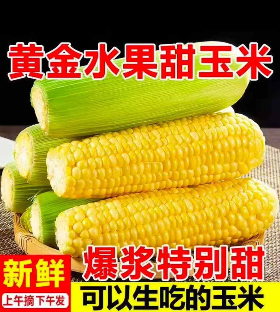广东农家现摘新鲜甜玉米水果玉米脆甜多汁玉米包谷3斤5斤8斤带壳