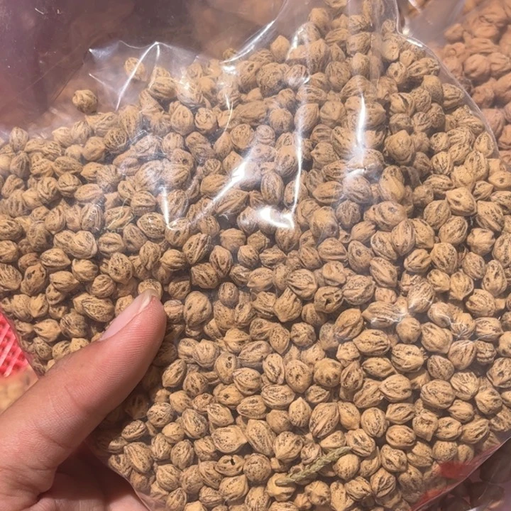 柏香籽/百香籽吊坠超*感6