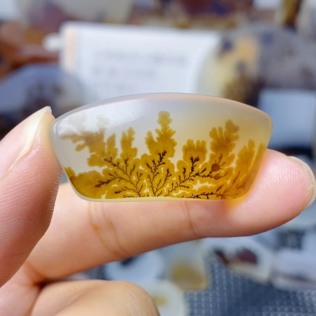 海***洋玛瑙/玉髓未镶嵌珠宝奇石