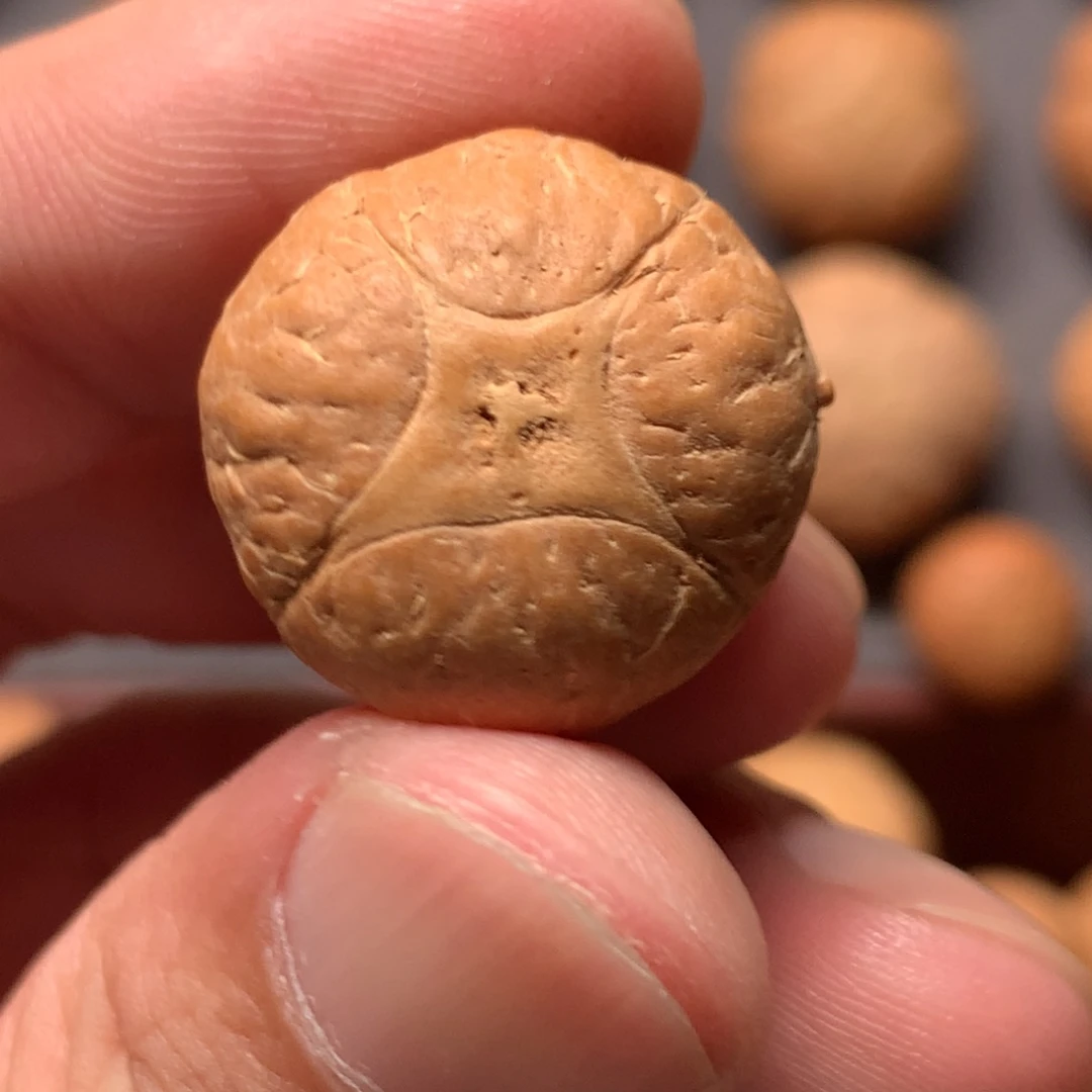 凤眼菩提吊坠20.6mm尼泊尔麒麟，打孔直播间和我说