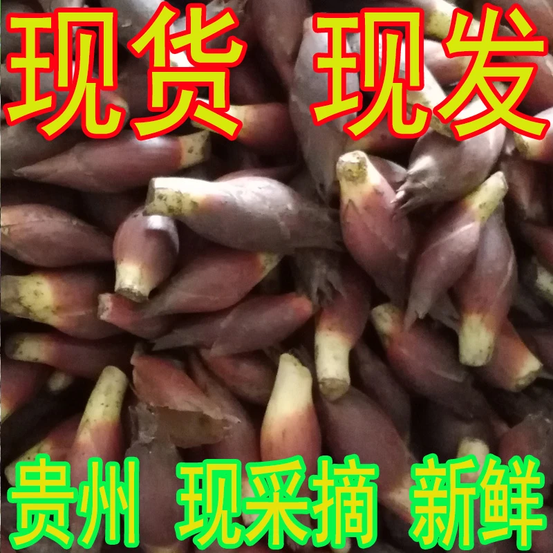 阳荷新鲜 洋荷姜新鲜 阳荷姜 茗荷 观音花 洋火姜 阳合 阳霍