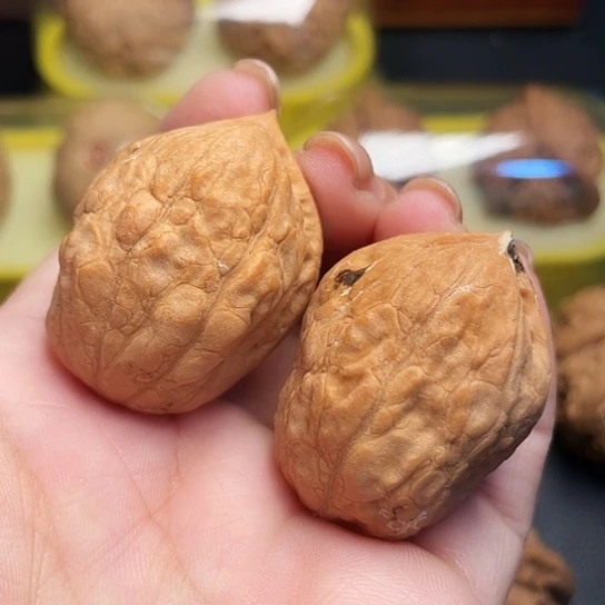 文玩核桃百财一对