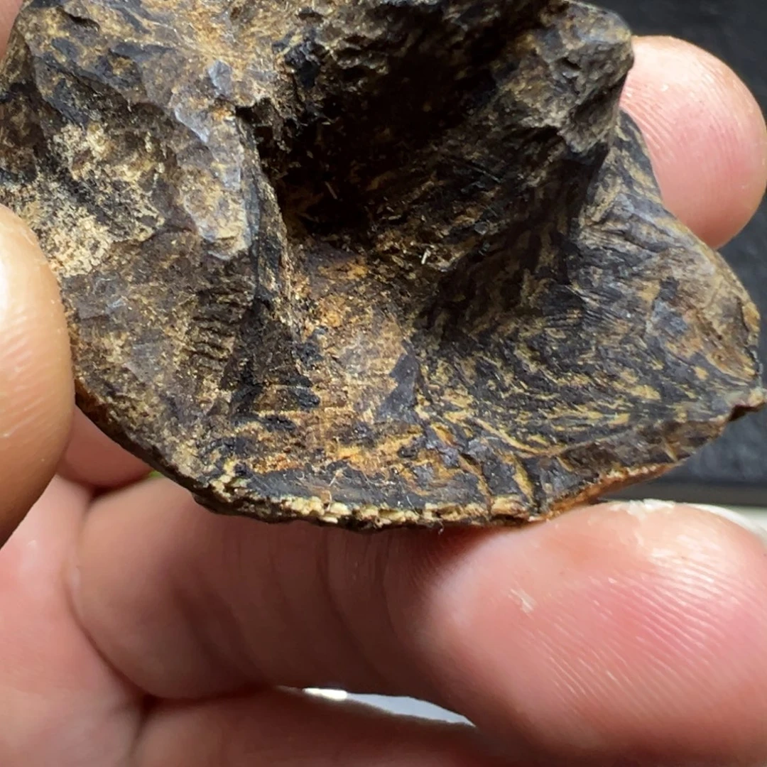 无***沉香沉香碎屑泰国包头7g