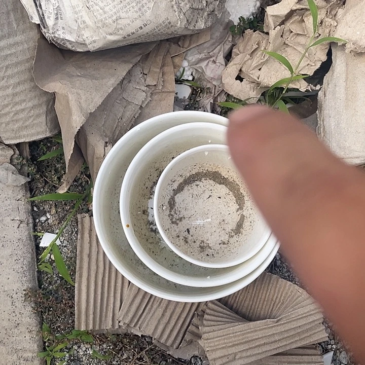景德镇陶瓷学院副院长