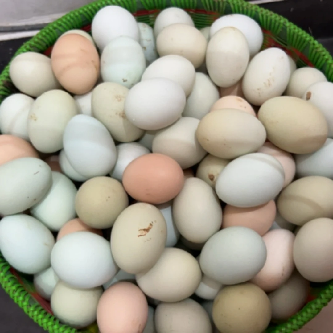 农家散养土鸡蛋60枚