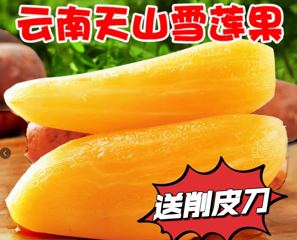 云南天山雪莲果新鲜现挖水果清甜脆爽多汁应季