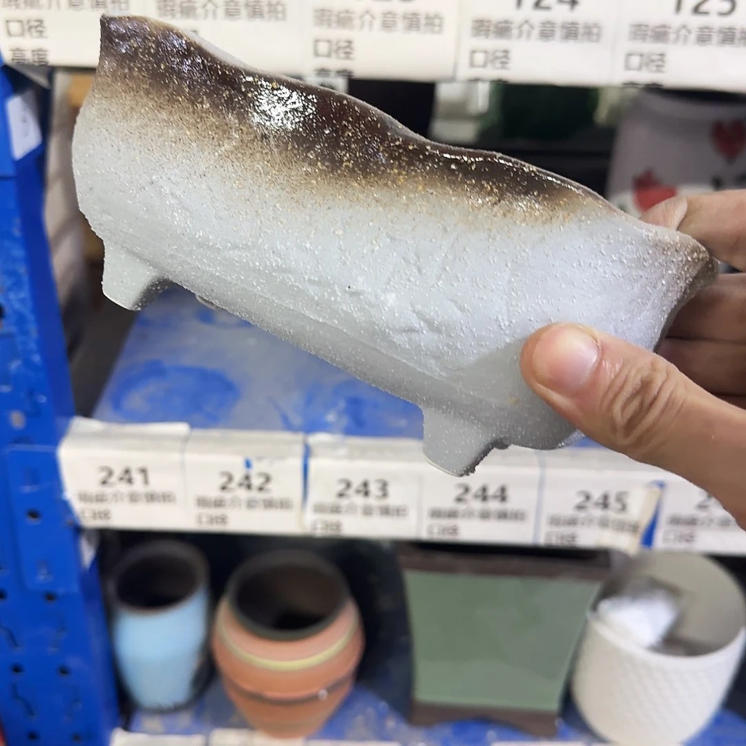 福利局绿植多肉盆［凑9元包邮24小时发］