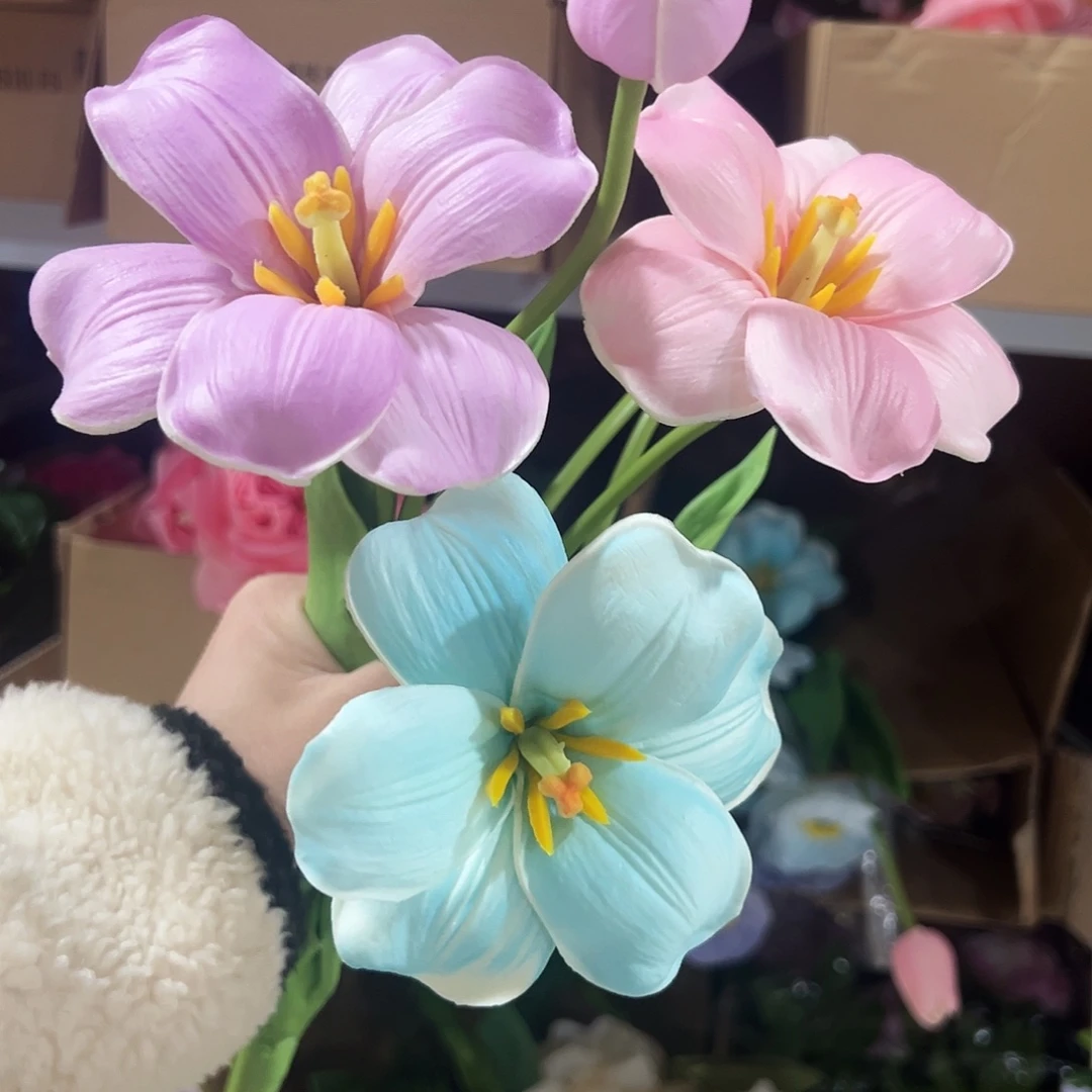 3只混色2头布朗尼郁金香