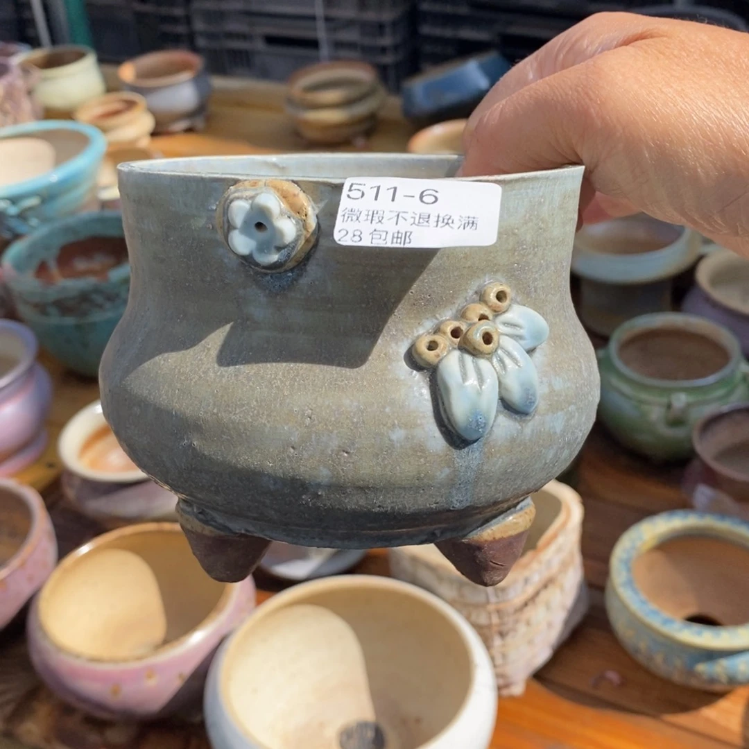 c****y6号多肉盆一个呀