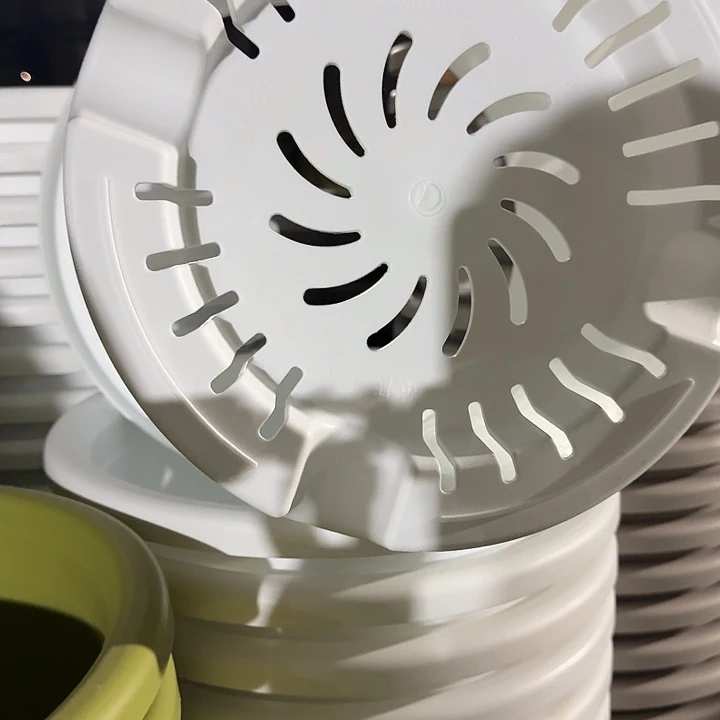 四季8号5个白色的