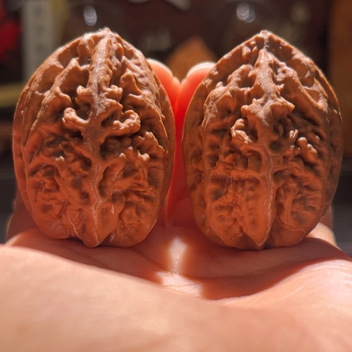 吊坠文玩核桃老树珊瑚纹5