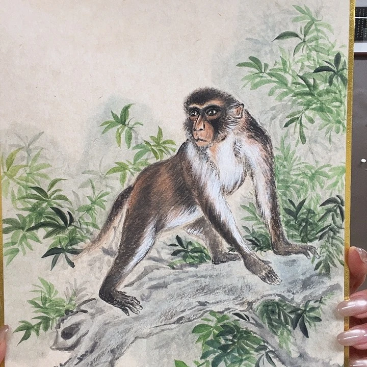 国画55555555888888888888