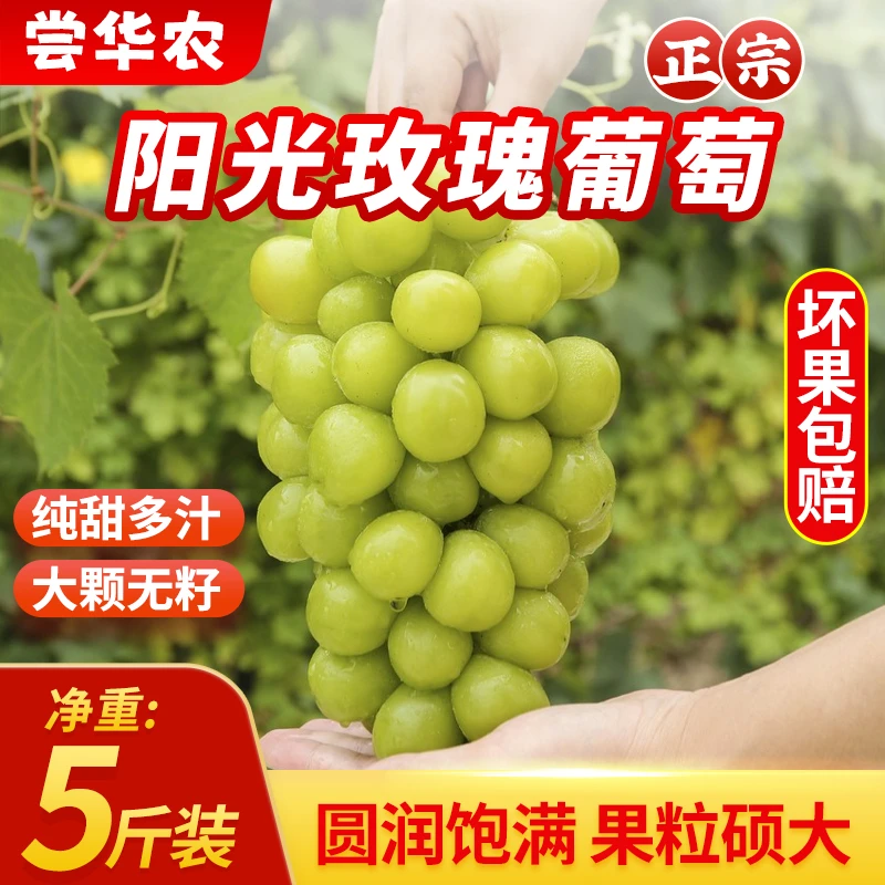 【商超品质】国产正宗阳光玫瑰葡萄青提新鲜水果彩箱净5斤脆甜多汁