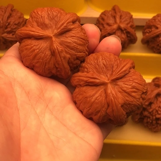 *****核桃核桃核桃核桃
