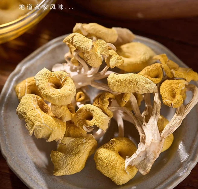 农家采摘深山鸡油菌