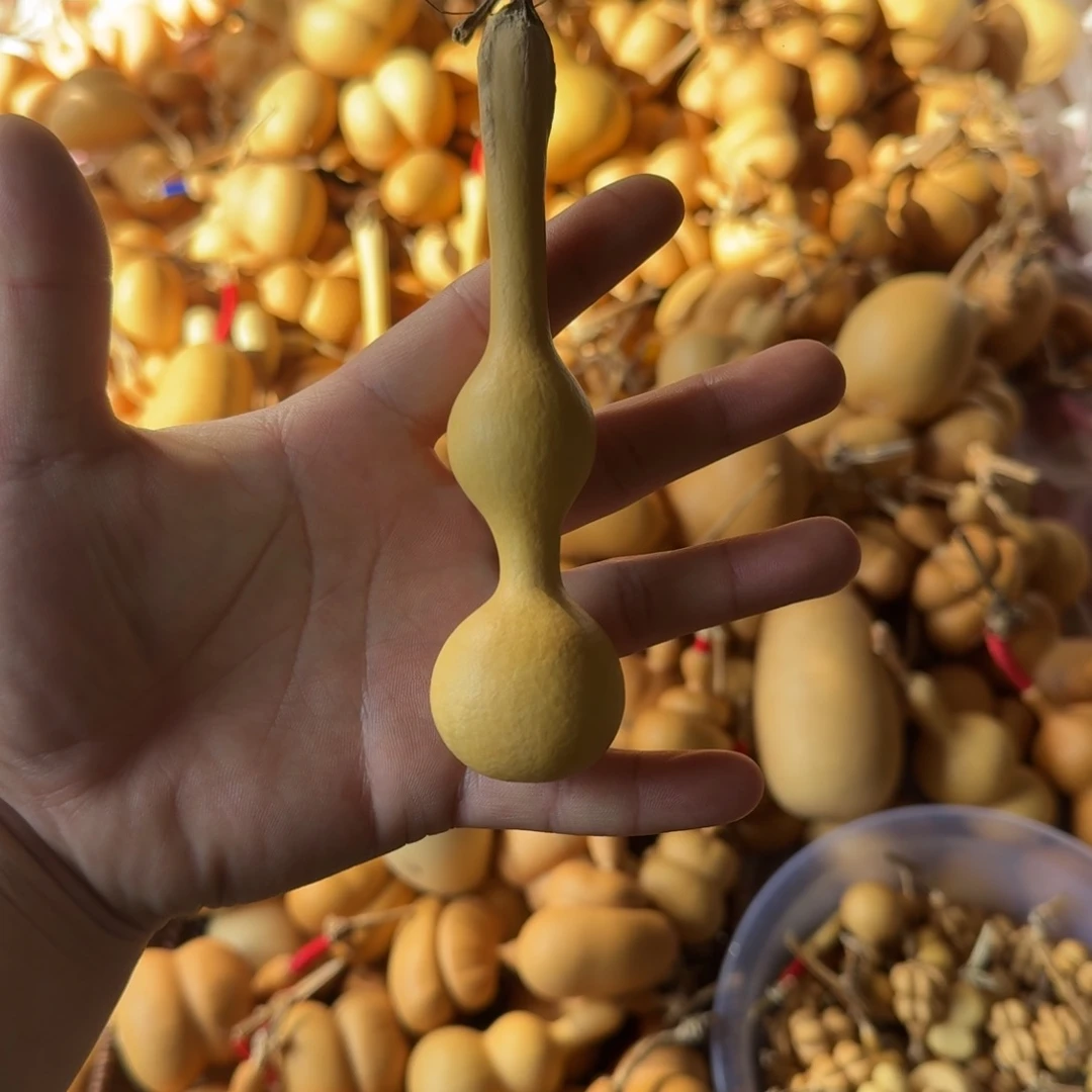 战**胜葫芦笙和一首诗是一种