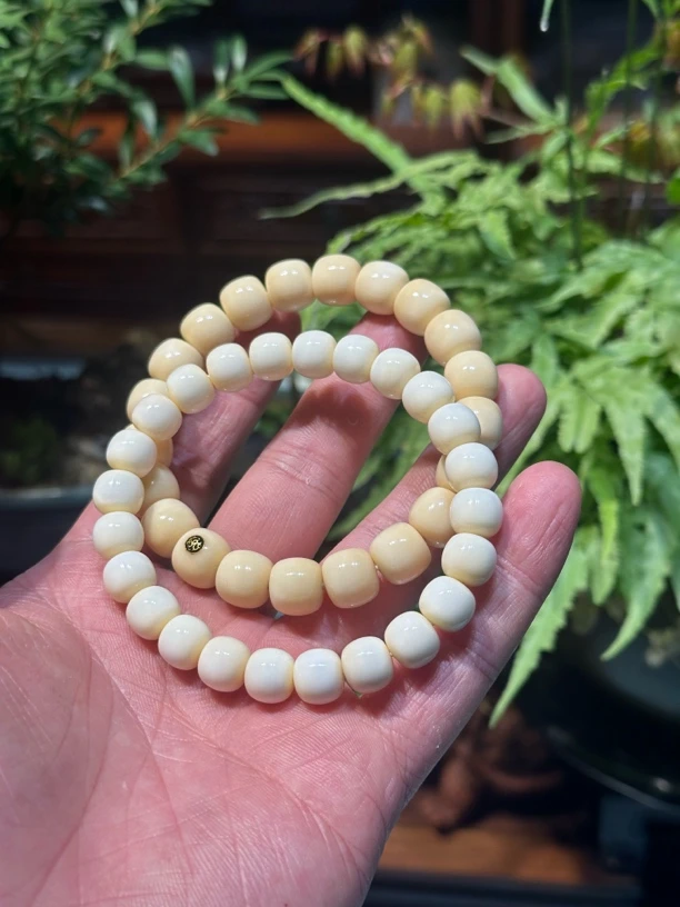 白玉菩提独独纯肉系列9mm