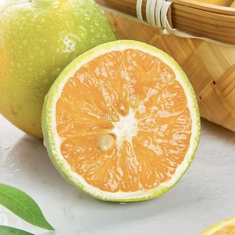 【夏橙精选】新鲜水果脐橙夏橙，口感微酸，橙味十足，VC丰富，营养开胃