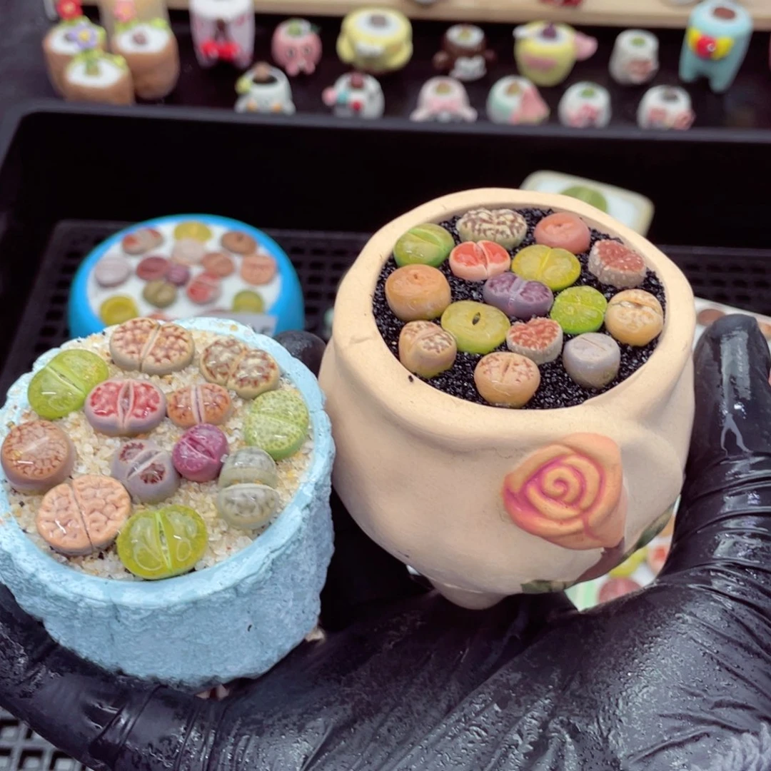 w8501--带盆土发货，零下地区拍保温箱