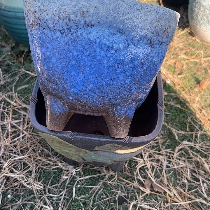 红陶口17高14福利价