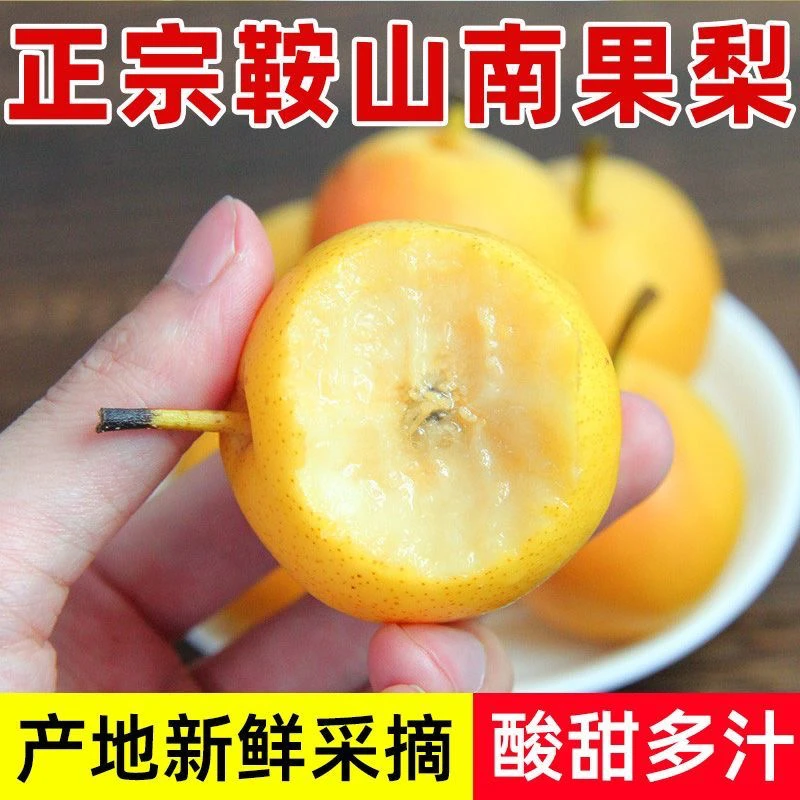 鞍山南果梨正宗东北特产新鲜水果酸甜多汁酒香浓郁