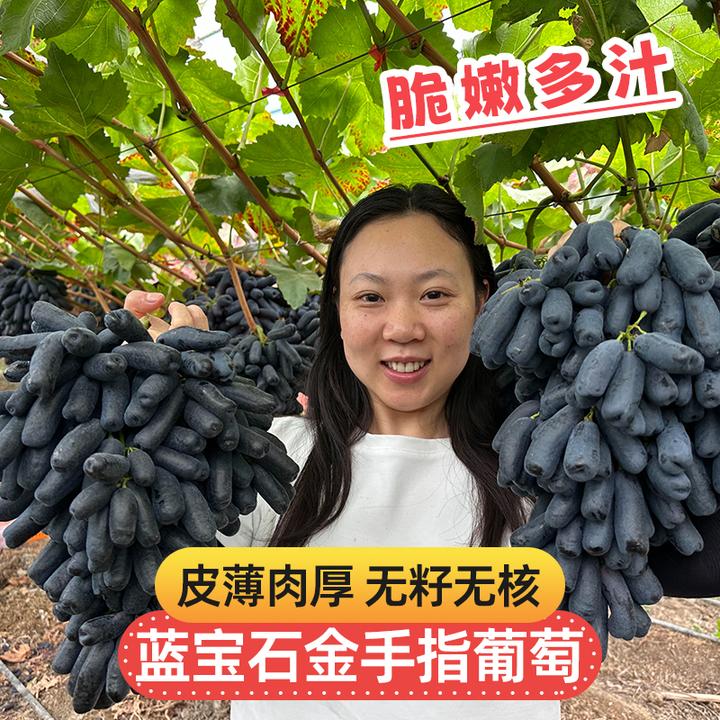 【顺丰京东】新鲜蓝宝石葡萄水果金手指无籽黑提3斤整箱 JJ
