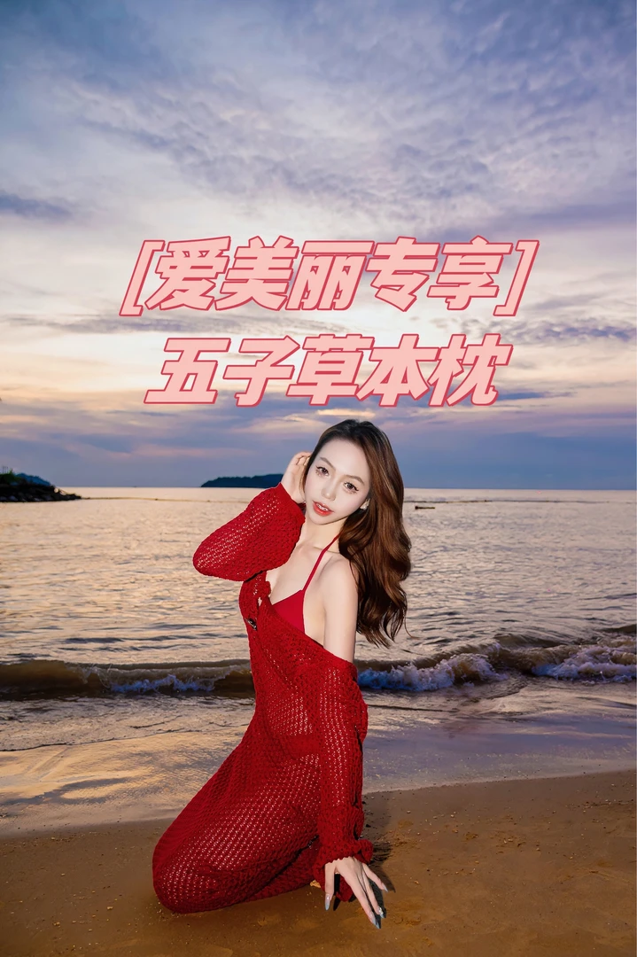 【爱美丽专享】五子草本枕