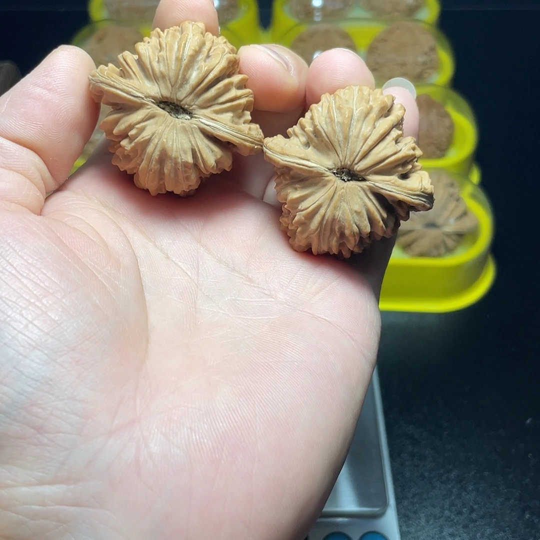 文玩核桃把件43尺四座楼