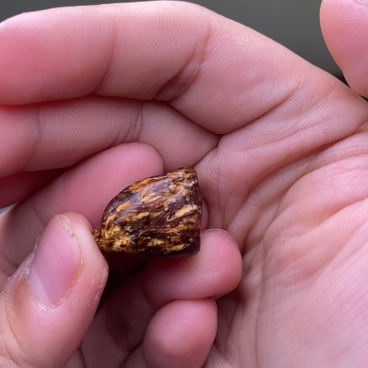 【闪购商品】定制琥珀李*臻天然蜜蜡