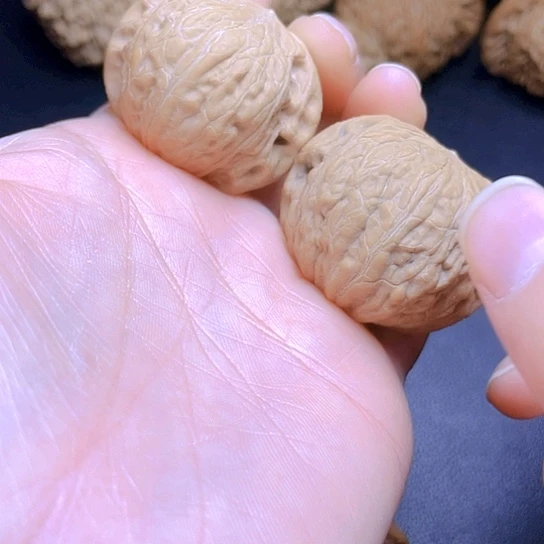 大叶紫檀（黑酸枝木类）弹****师