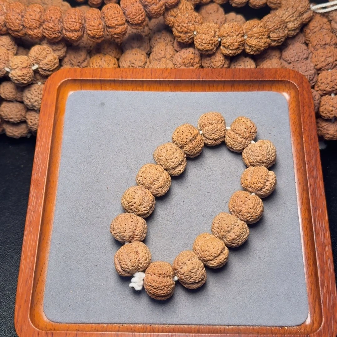 3号尼泊尔大金刚23五星熊猫菠萝蜜