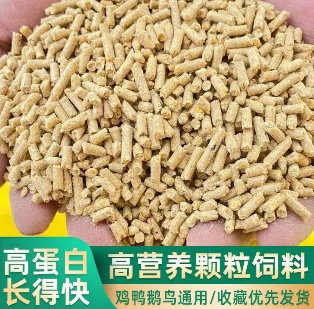 小鹅饲料高蛋白高营养