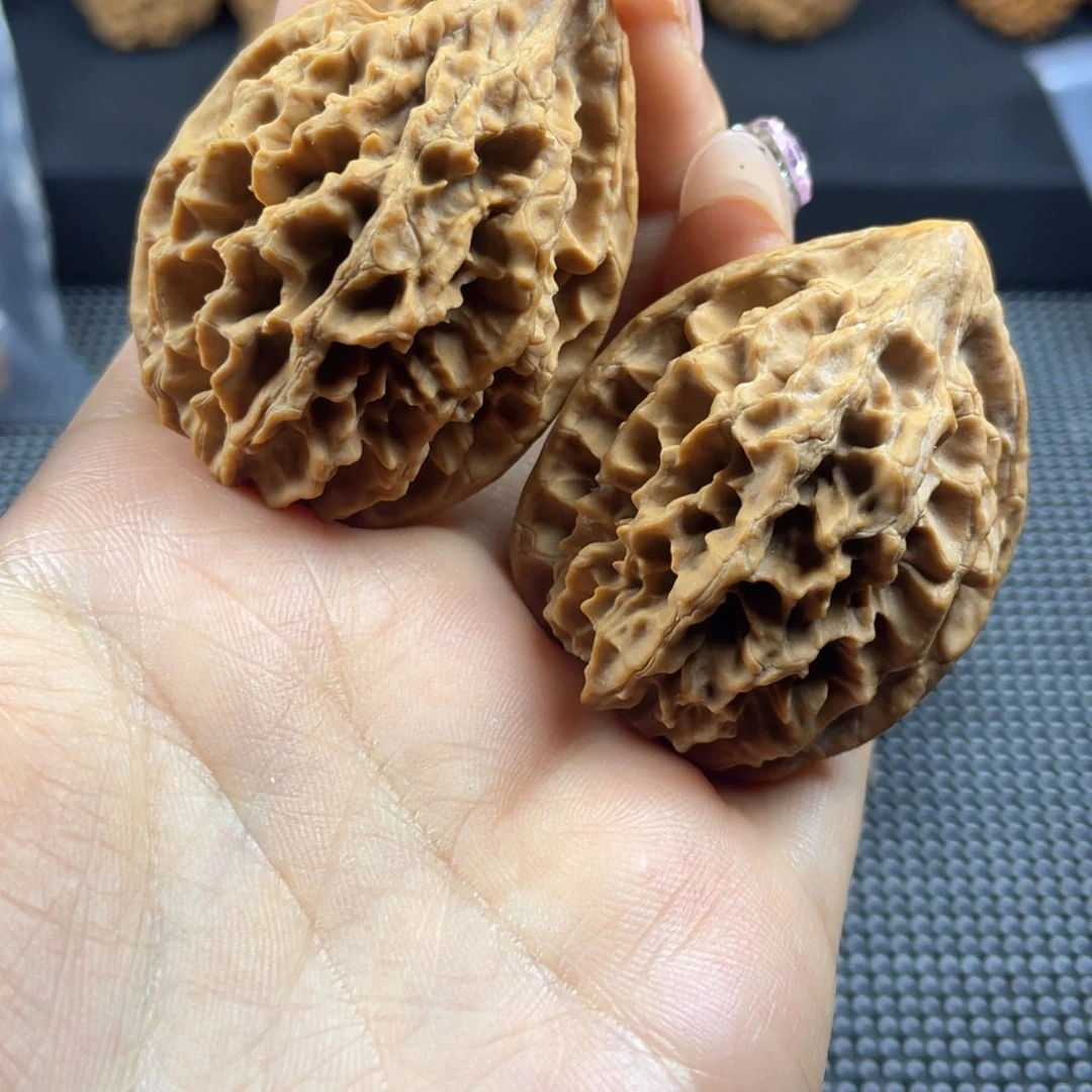 优****度秦岭神树秦闷小王