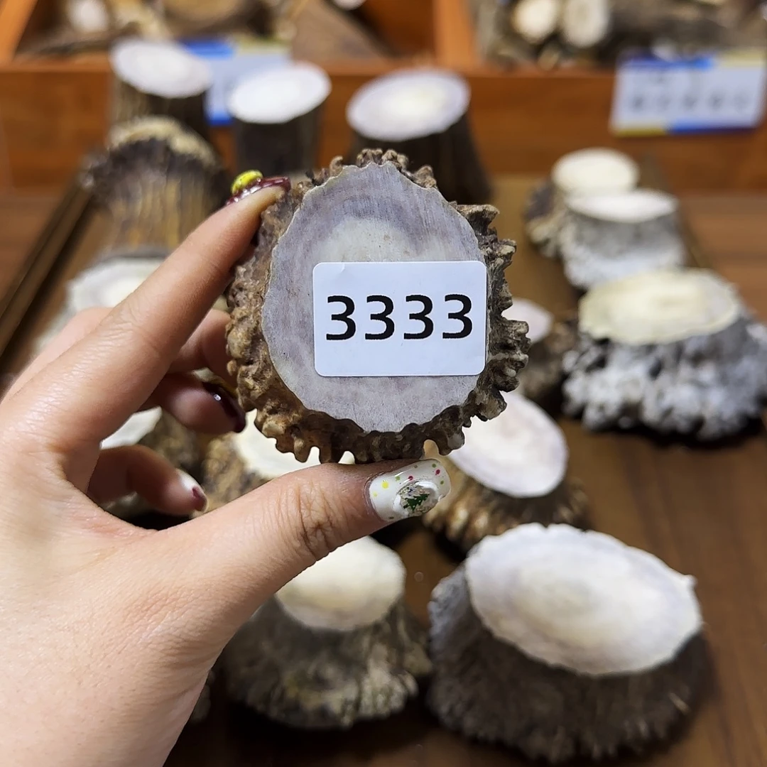 鹿骨手串/手链角帽3333