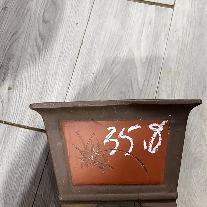25红四方花盆花盆花盆