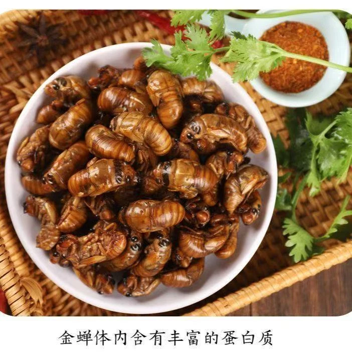 【顺丰】当季新鲜金蝉知了猴速冻现抓爬叉猴蝉蛹顺丰包邮