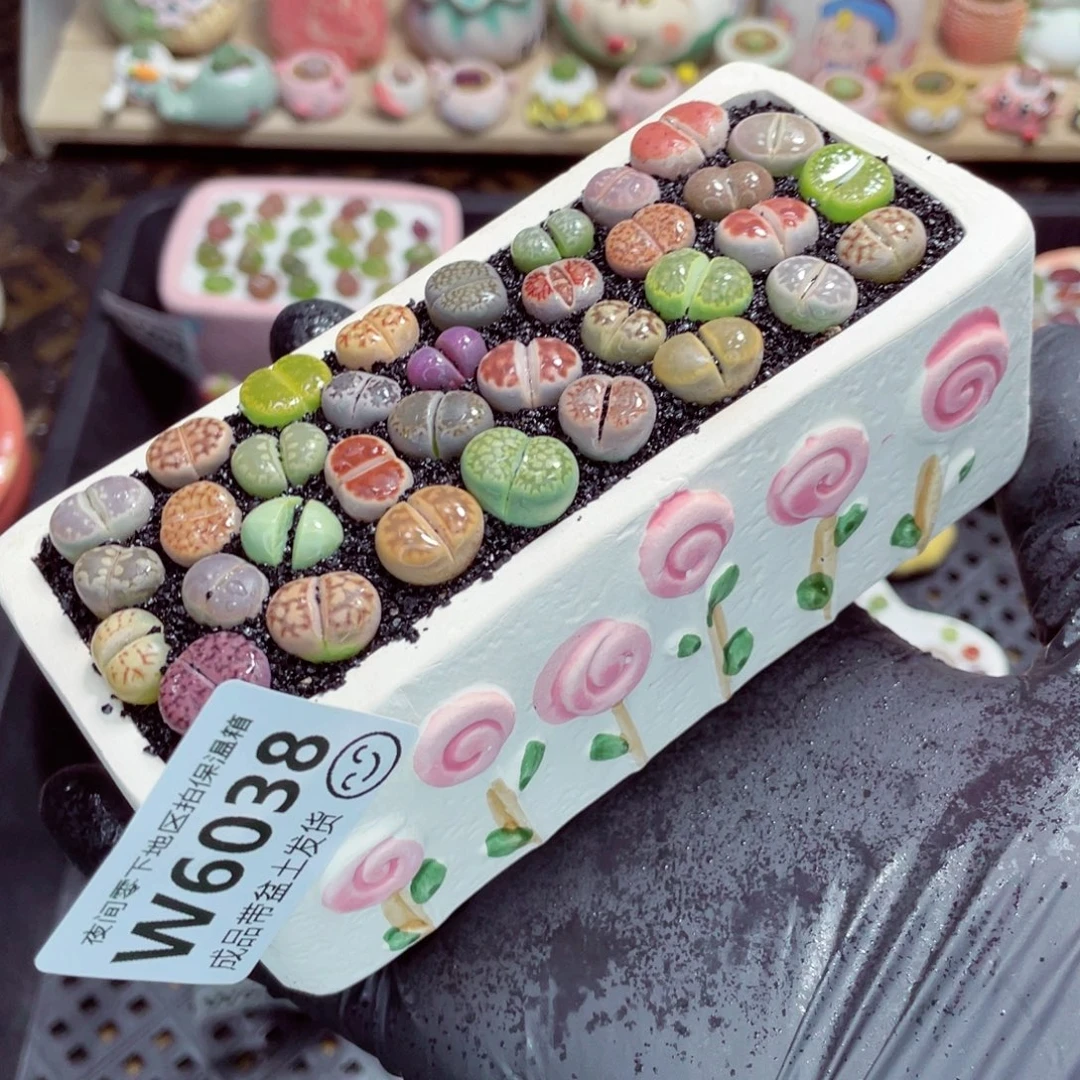 夜间零下地区拍保温箱w6038