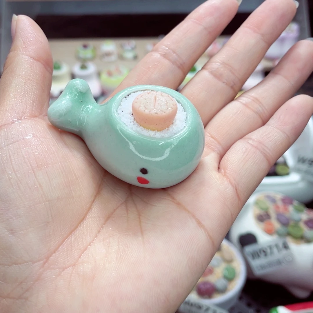 w9721 带盆土发货一物一拍