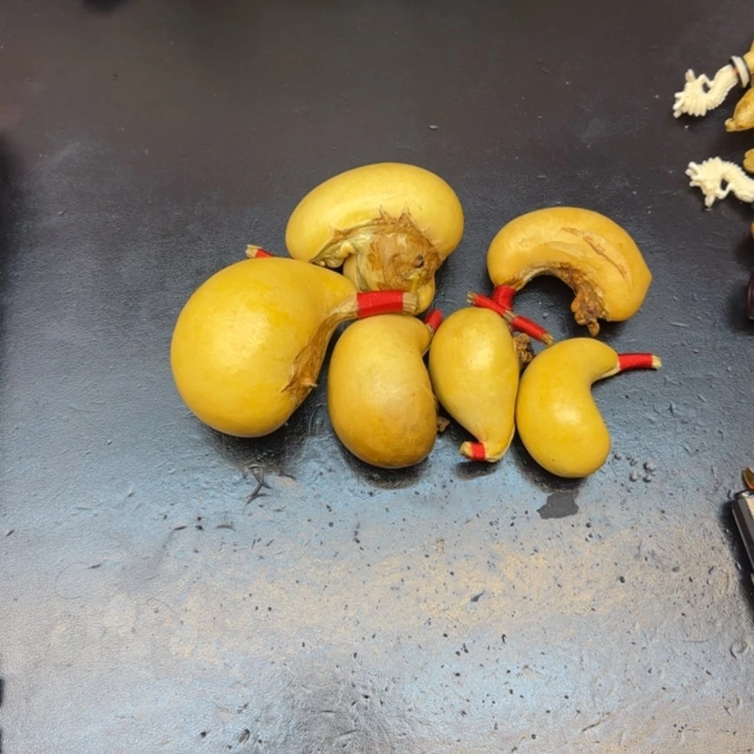 西***后哈哈哈哈哈哈哈哈哈