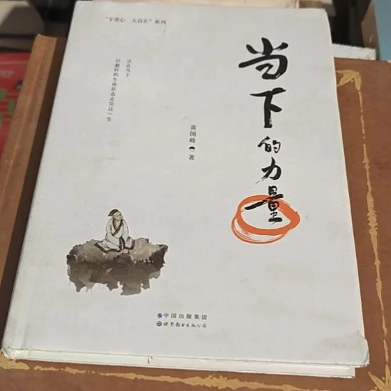 当下的力量精装（务必塑封）