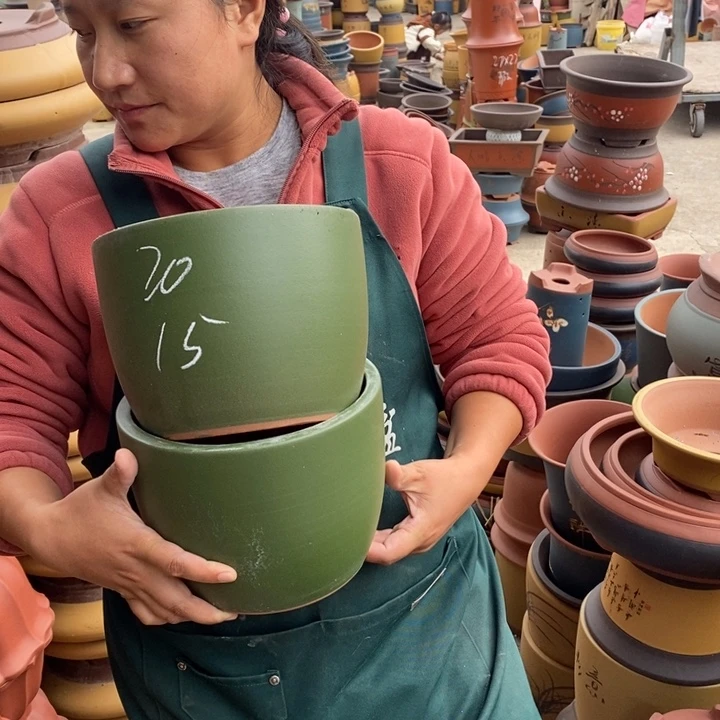 紫砂花盆盆栽花卉苗木种植