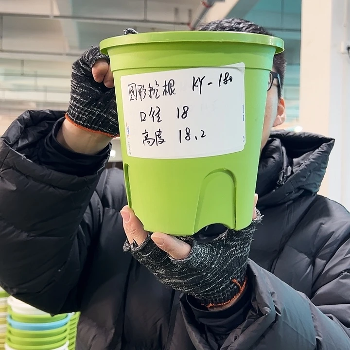 正品圆控口18高18果绿无托8只