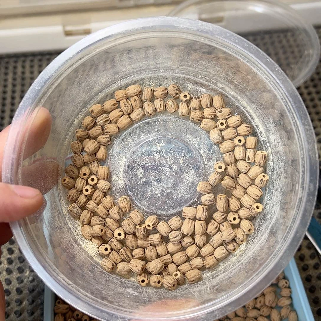 柏香籽/百香籽吊坠