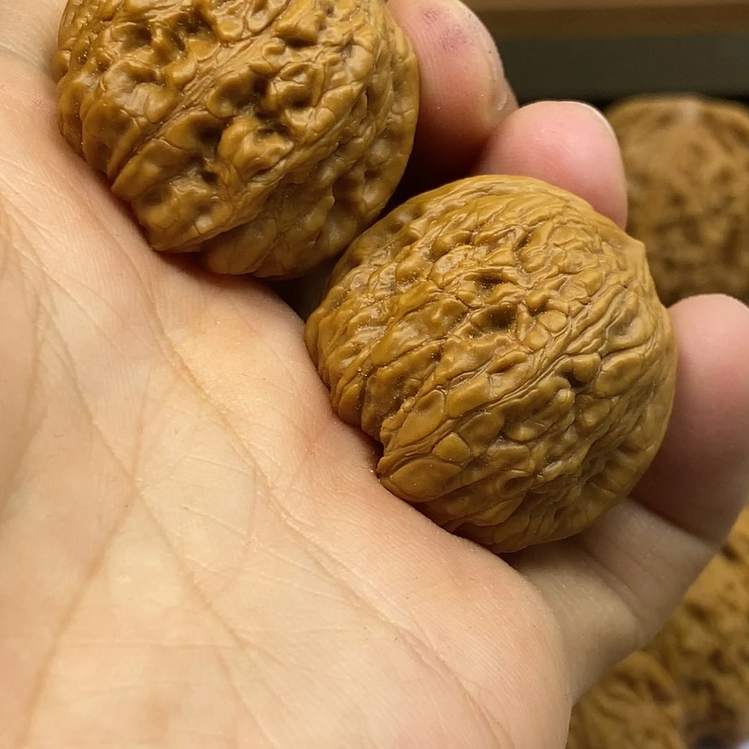 龙脊菩提把件平谷凹底