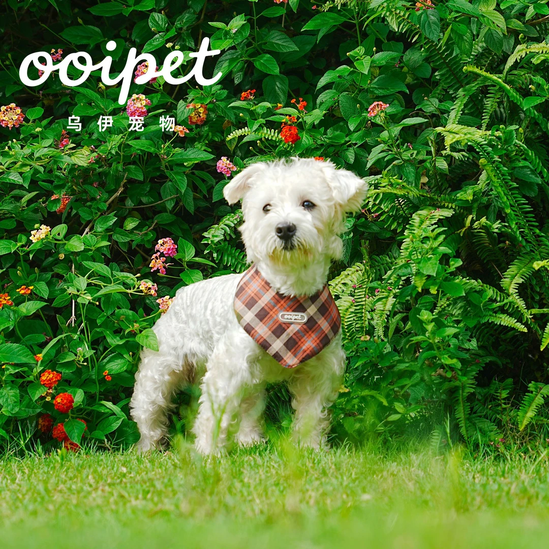 OOIPET原创手作 猫咪狗狗潮流三角巾口水巾围巾披肩格子衬衫饰品