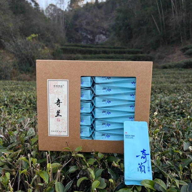 爆款武夷岩茶奇兰茶高山韵兰花香春季口粮茶